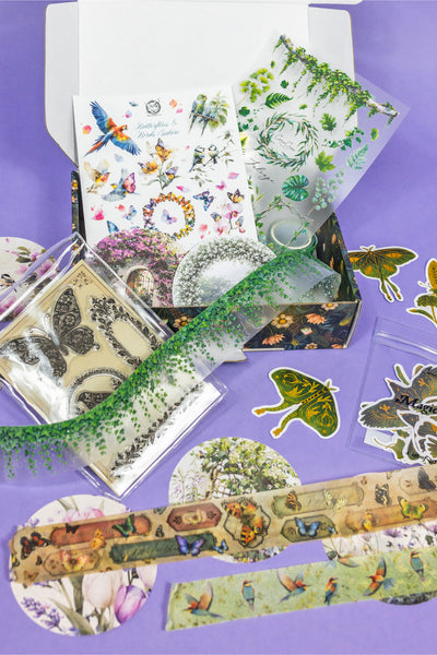 Birds, Foliage & Butterflies Box