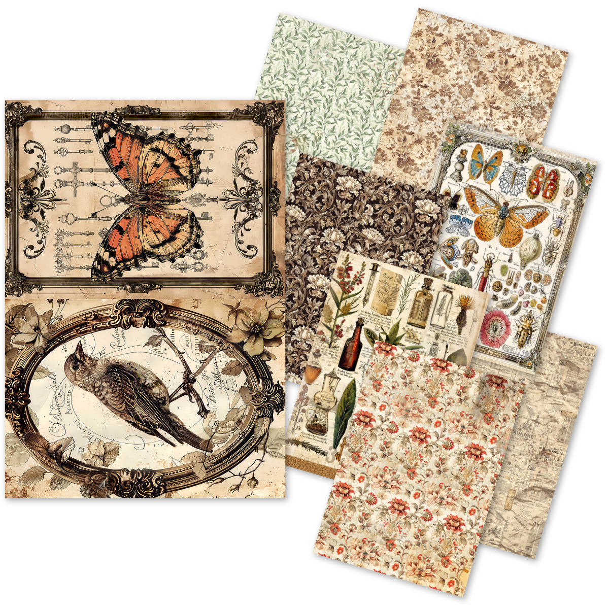 Apothecary Mysteries Rice Paper Pack