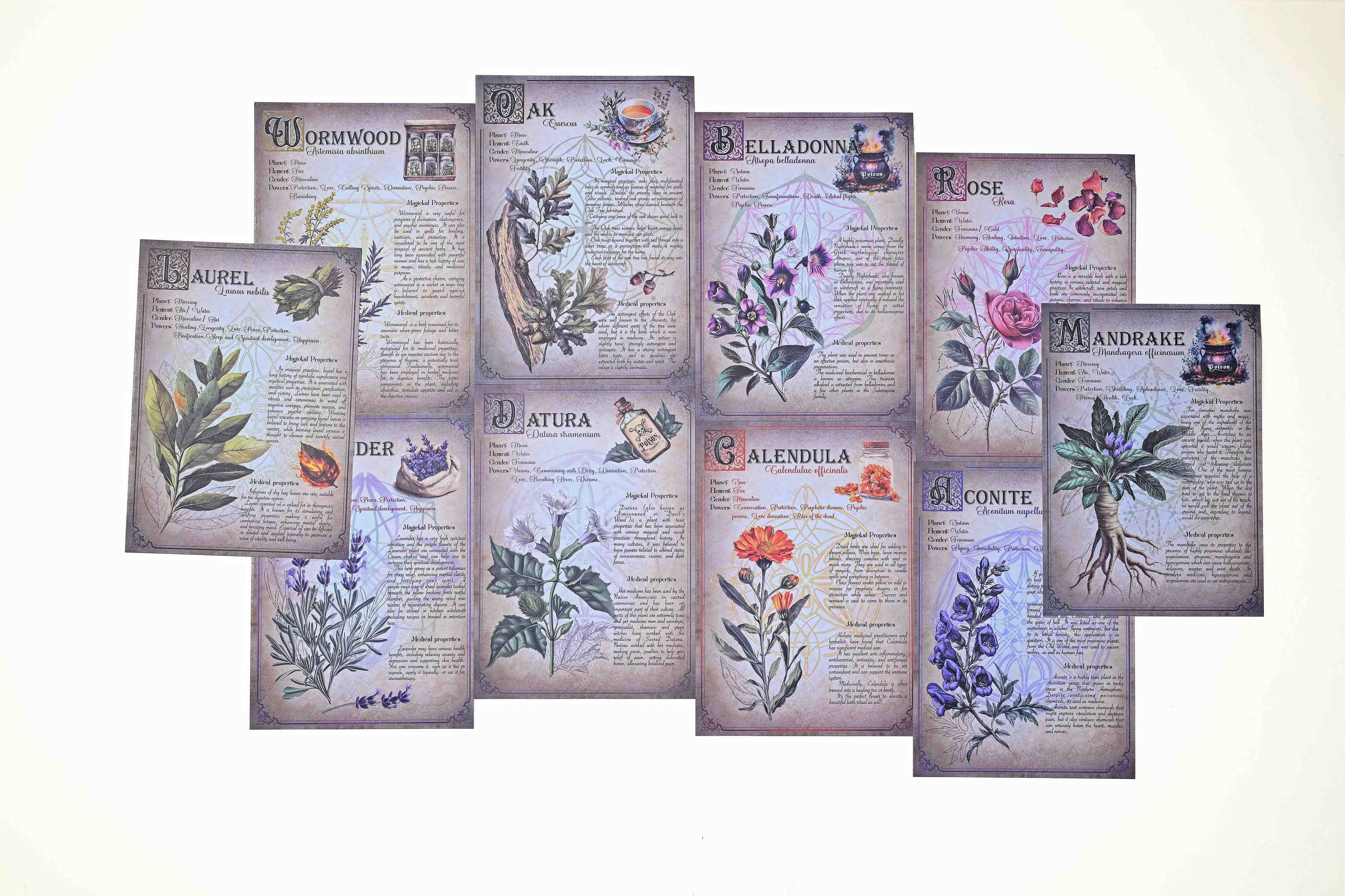 Herbal Magic Paper Set