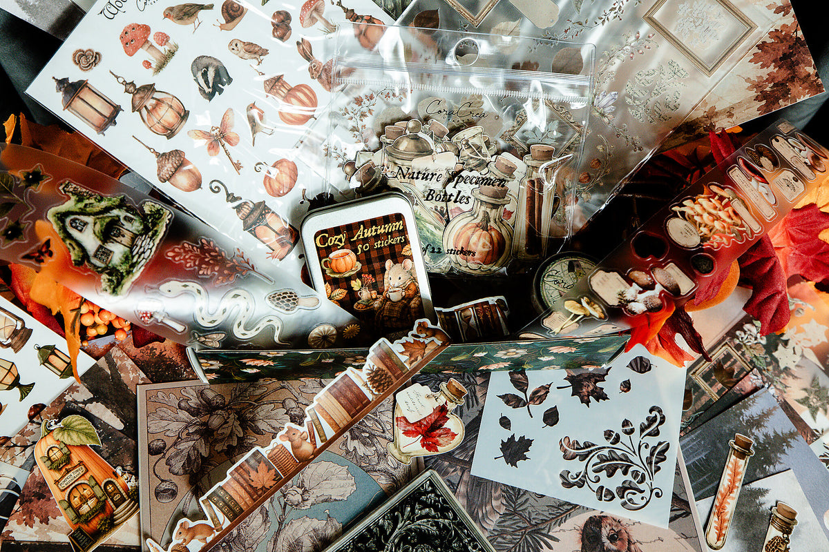 Curiosities Box - Bimonthly Subscription