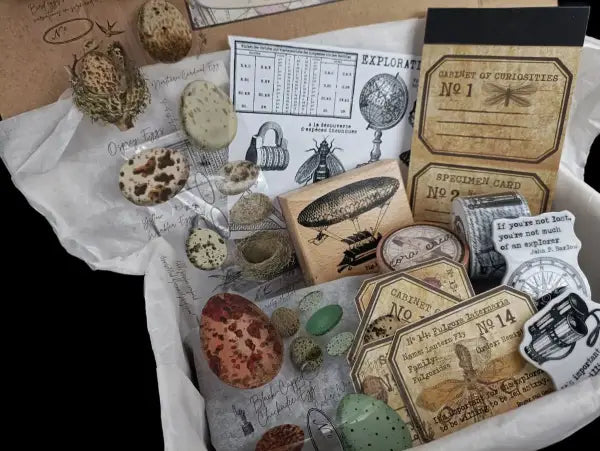 Explorer - June 2022 subscription box image 2
