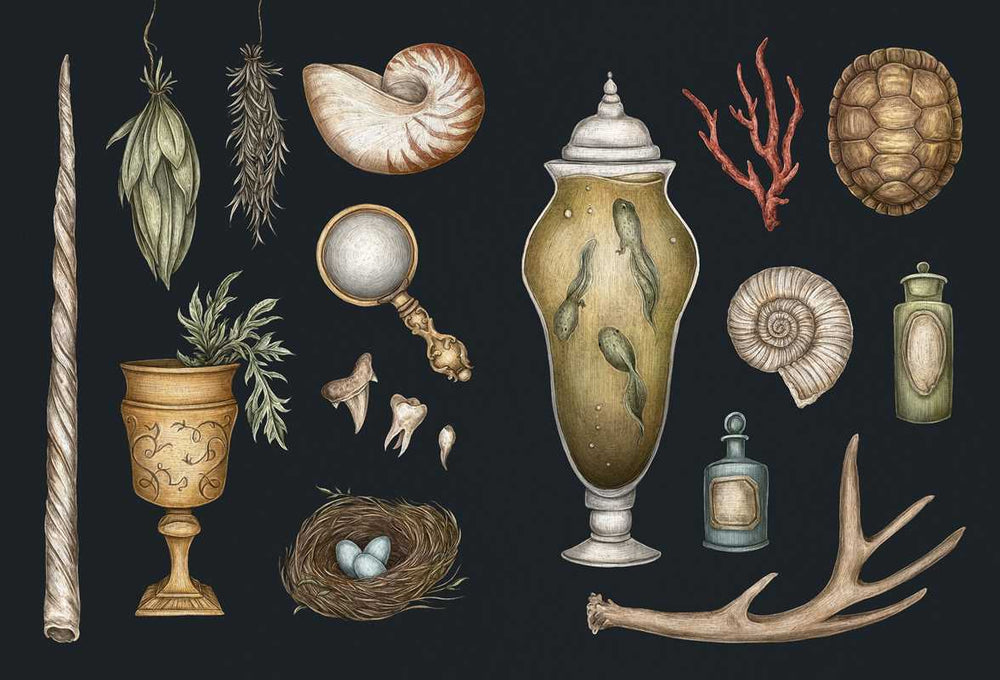 The Collector's Curio: A Sticker Treasury by Jessica Roux