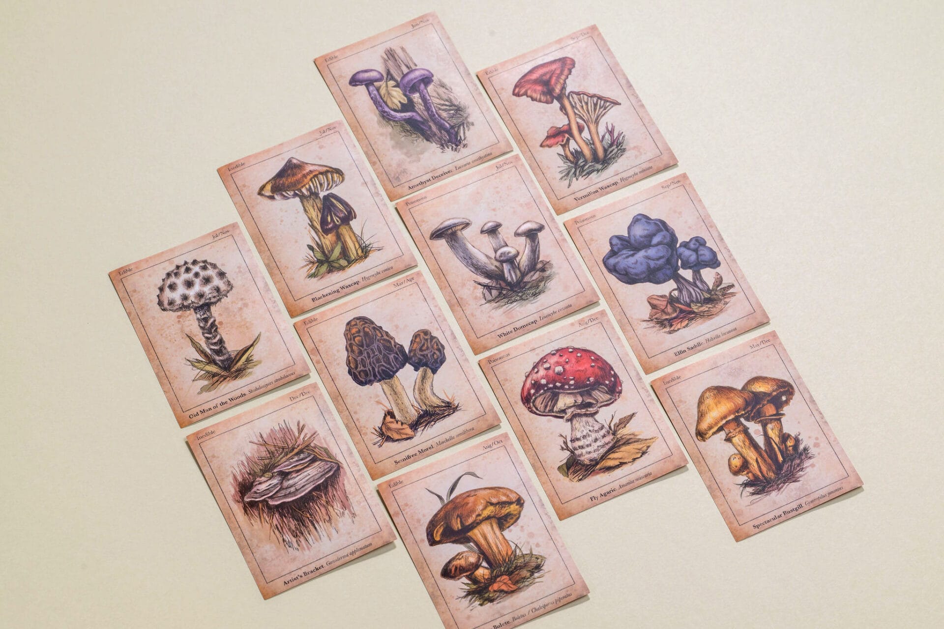 Mushroom Labels Sticker Set