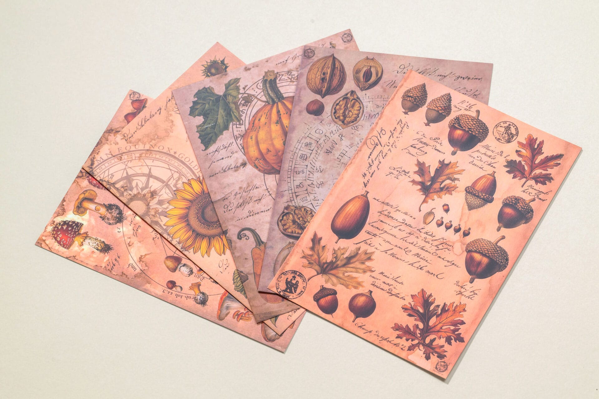 Autumn Cards (Set of 5)