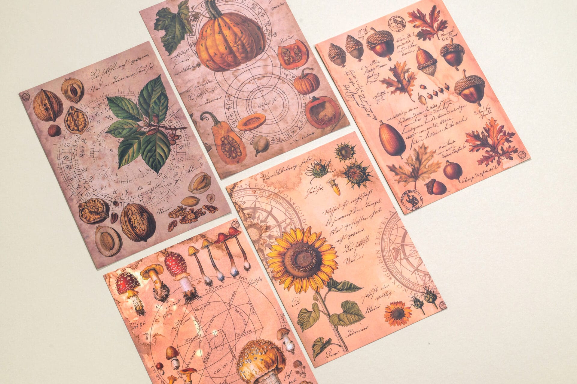 Autumn Cards (Set of 5)