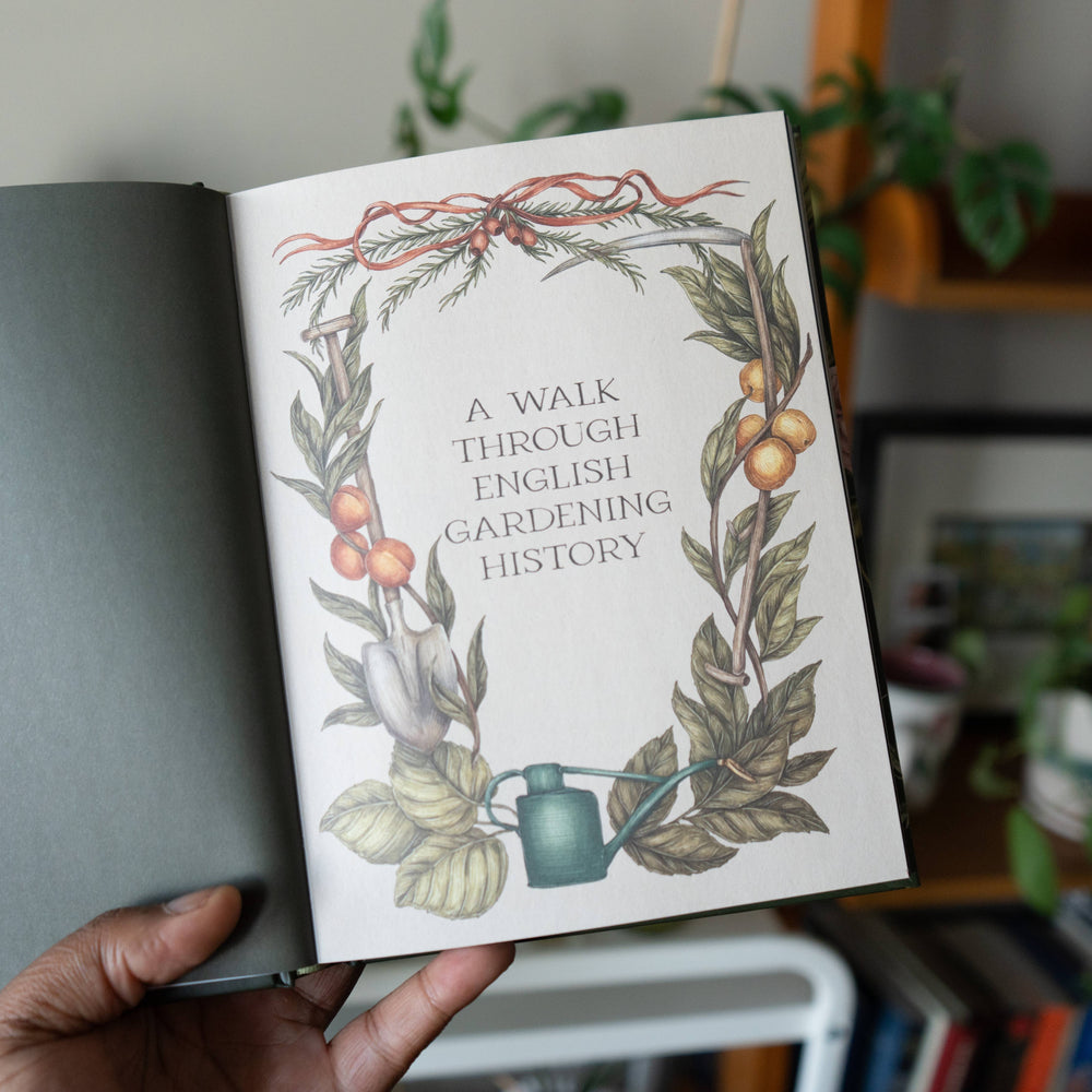 Jane Austen's Garden by Molly  Williams
