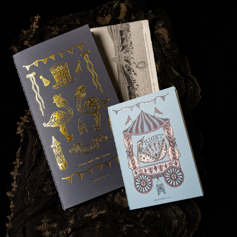 The Ringmaster's Tour Journal - detail 2