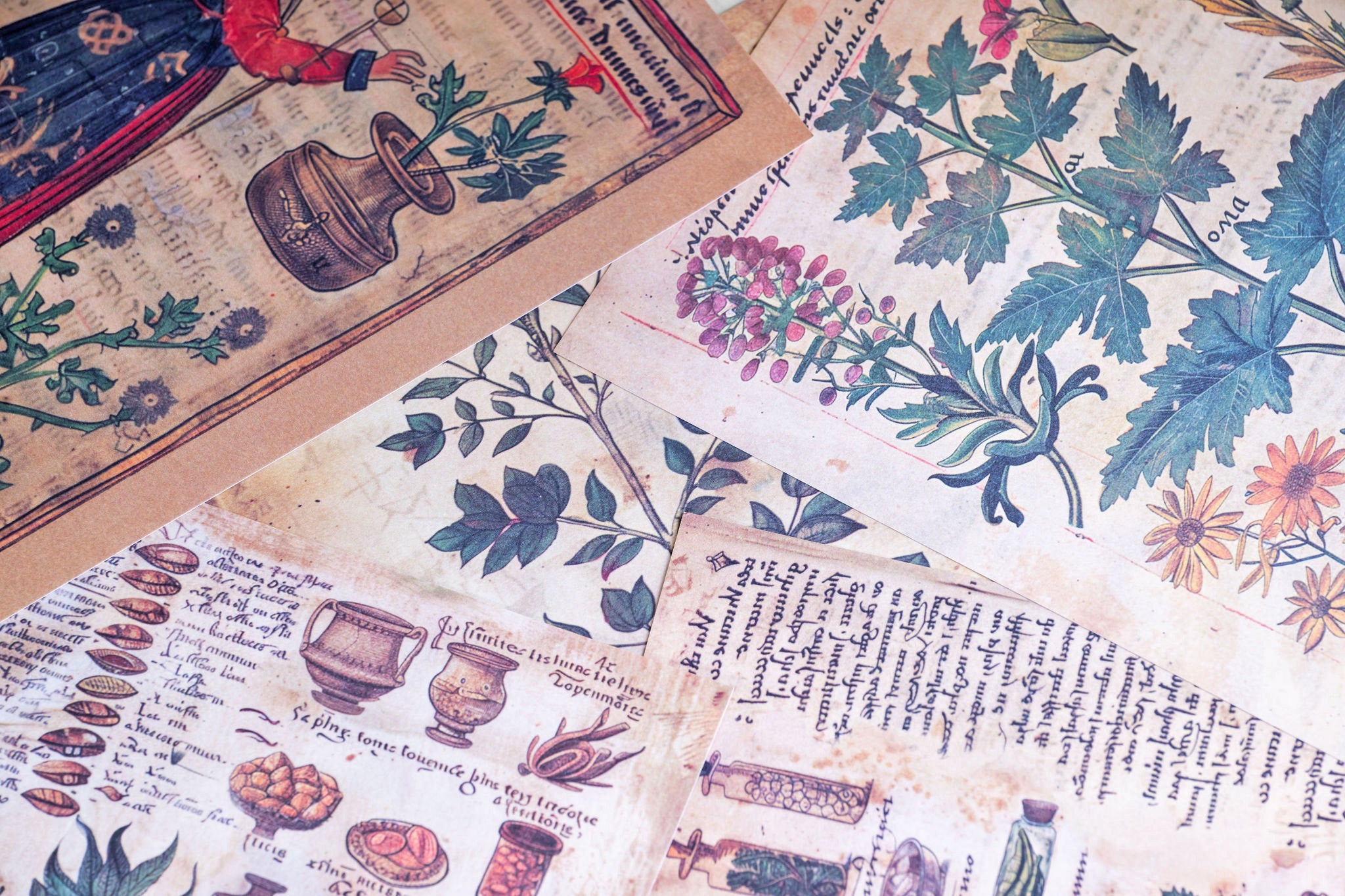 Medicinal Manuscript Paper Set