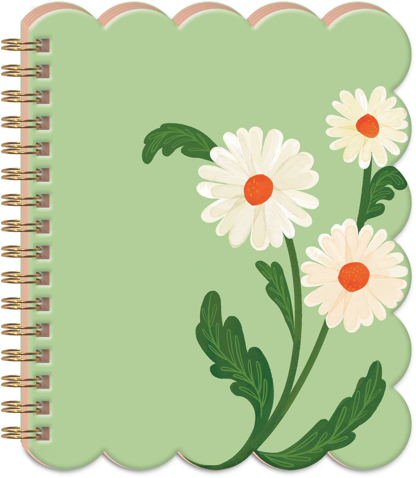 DAISIES SPIRAL JOURNAL
