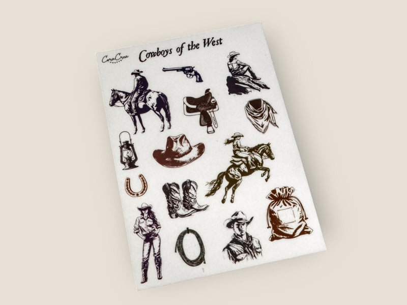 202409_CowboysTransfers3