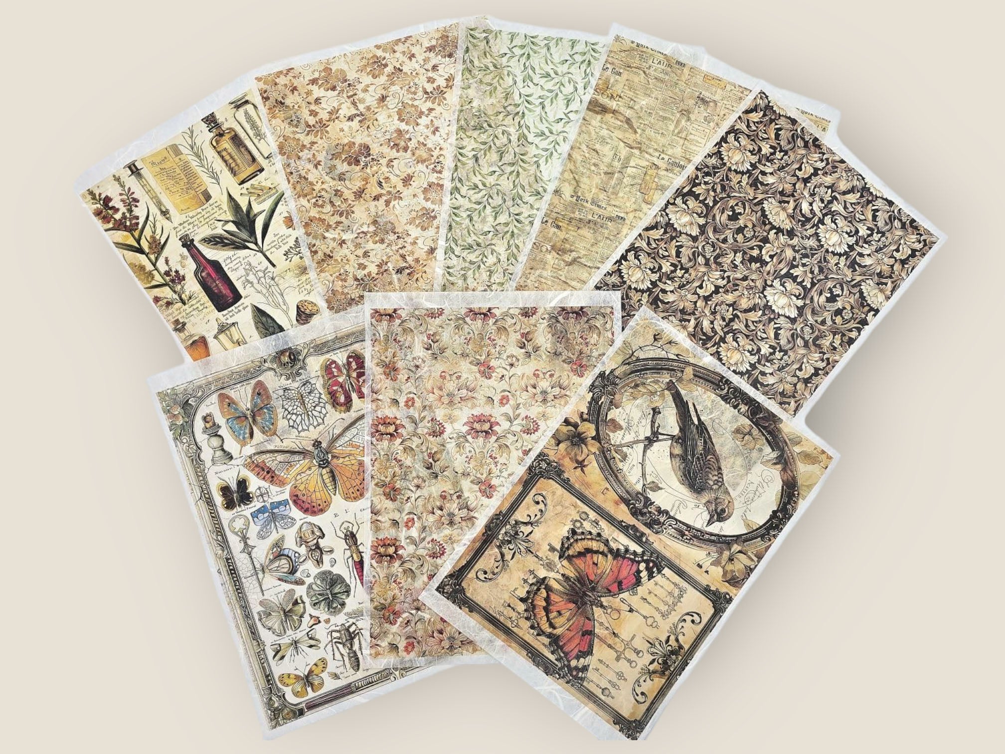 Cabinet of Curiosities Rice Paper Pack