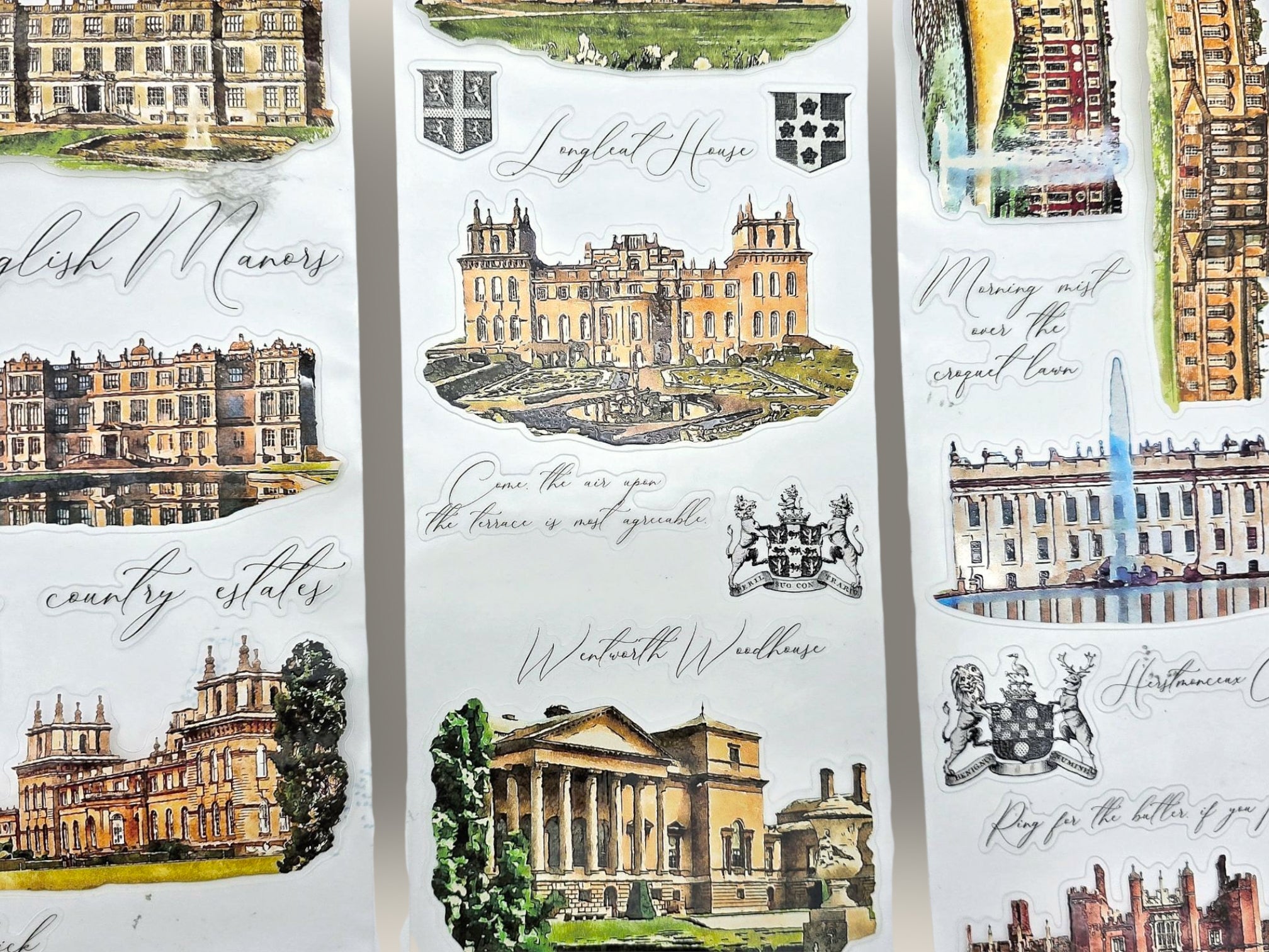English Estates Transparent Tape (XL)