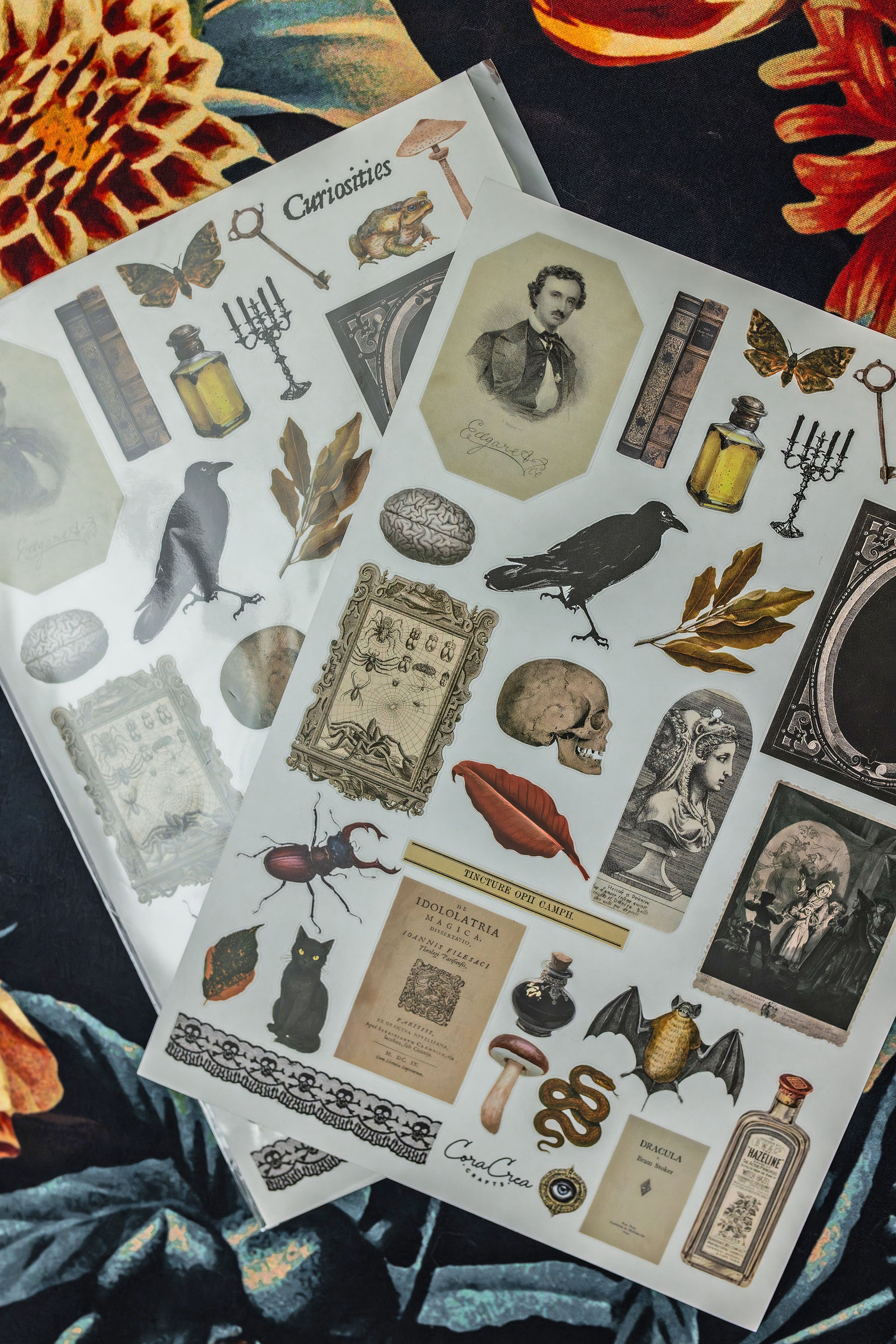Curiosities Sticker Sheet