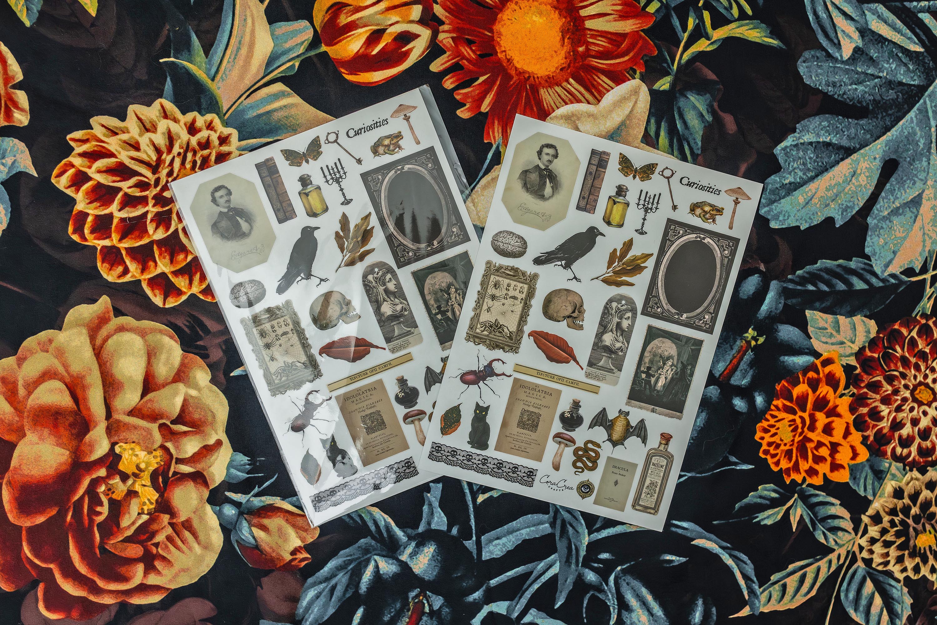 Curiosities Sticker Sheet