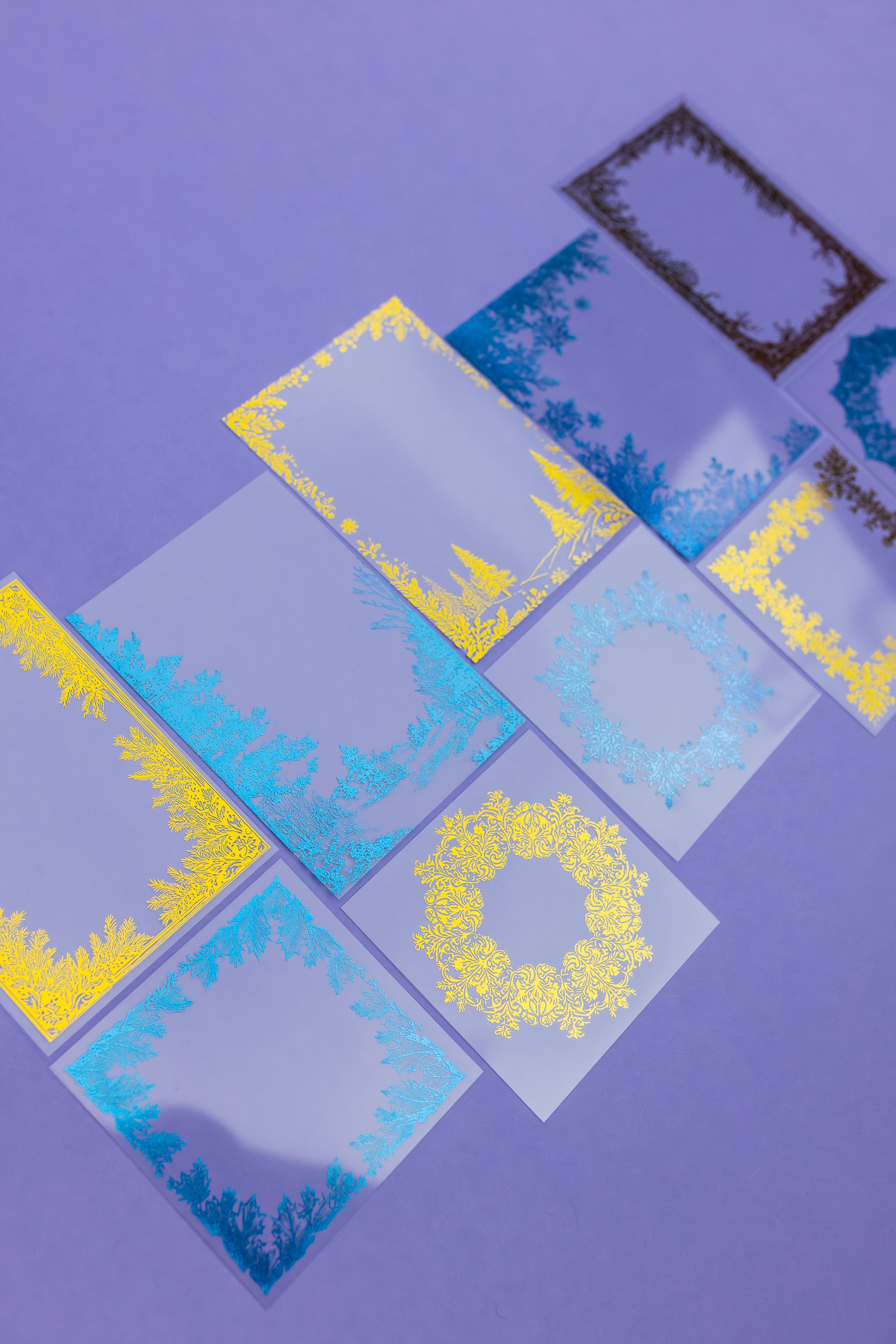 Transparent Winter Frames