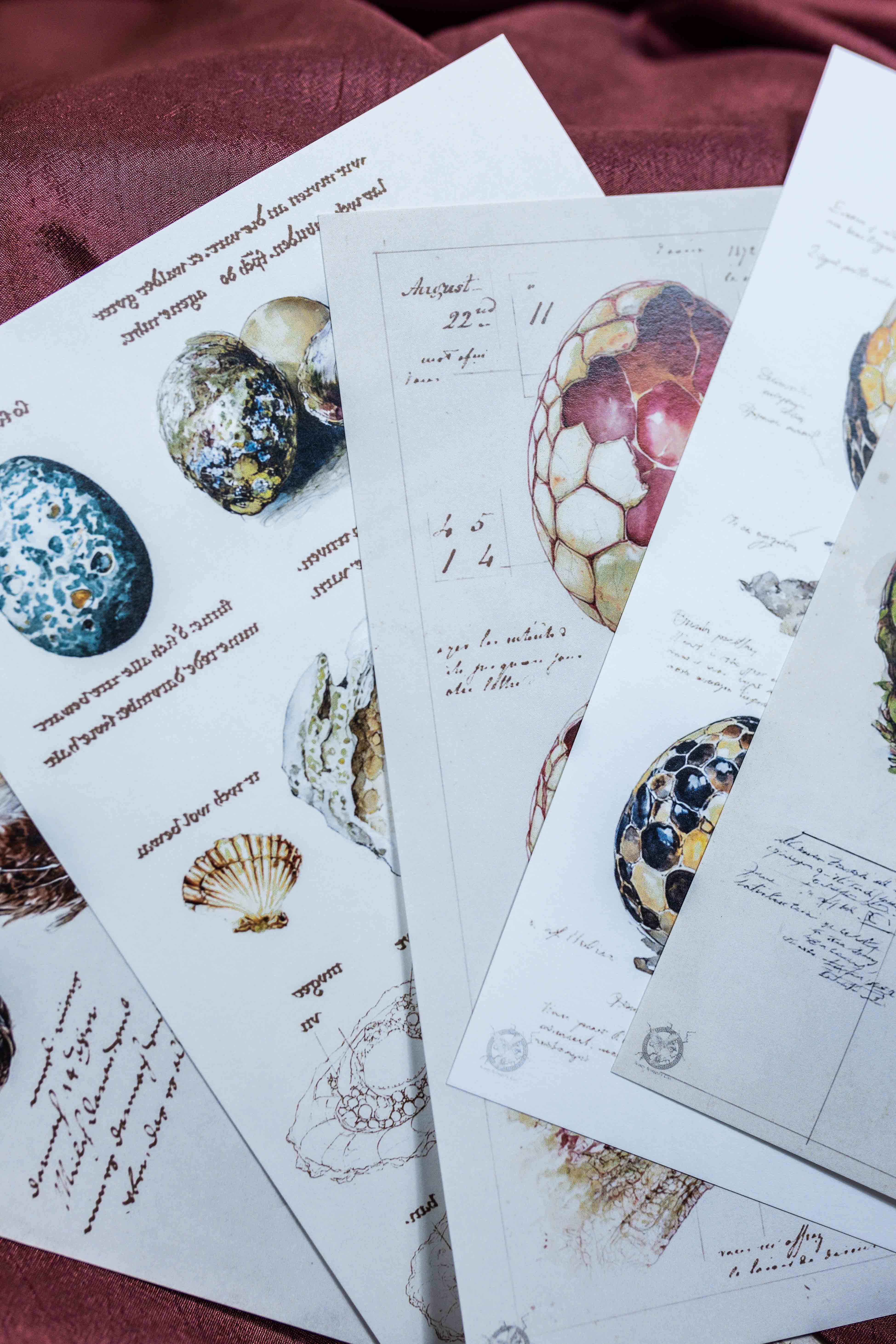 Fantastic Beasts Ephemera Pack