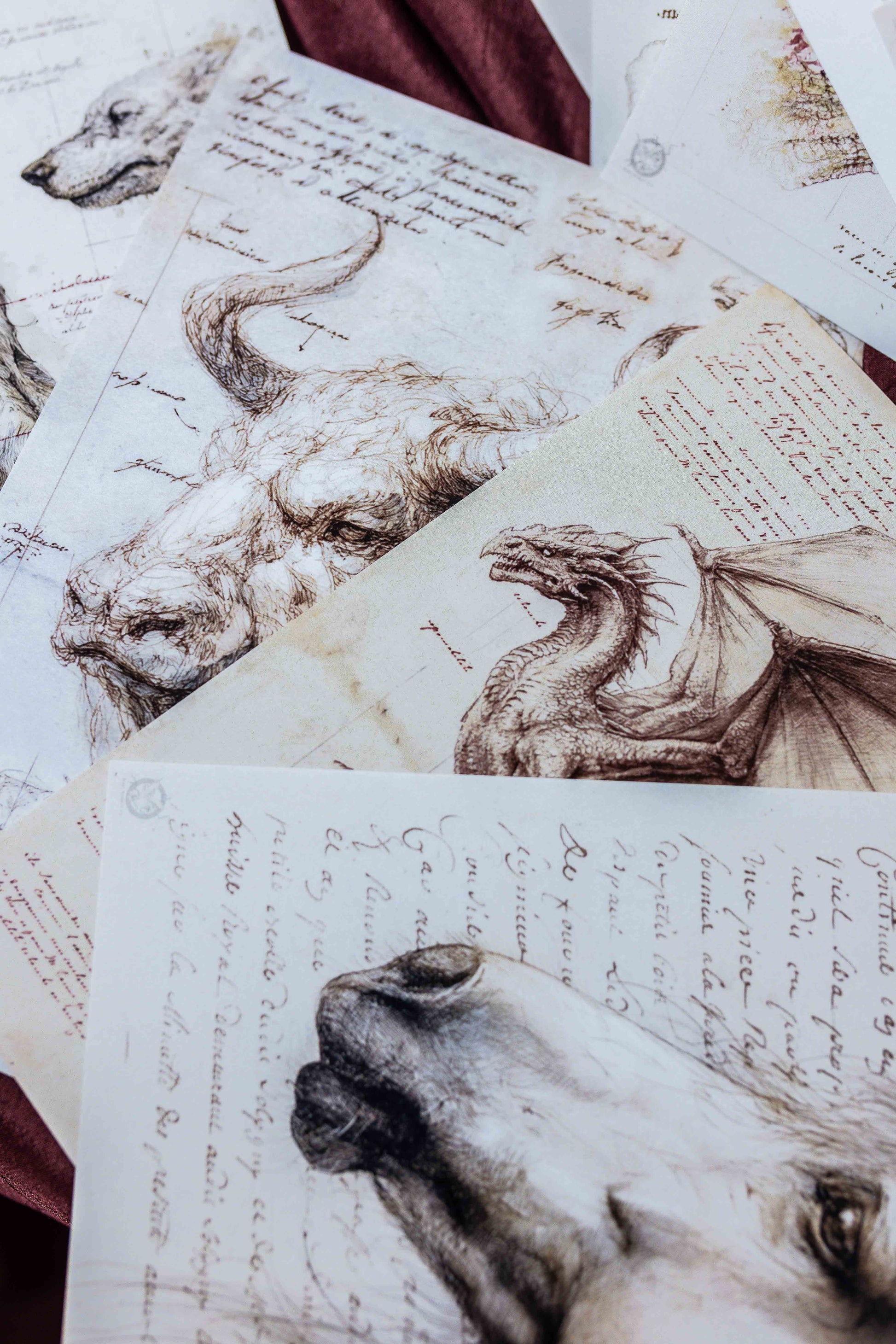 Fantastic Beasts Ephemera Pack