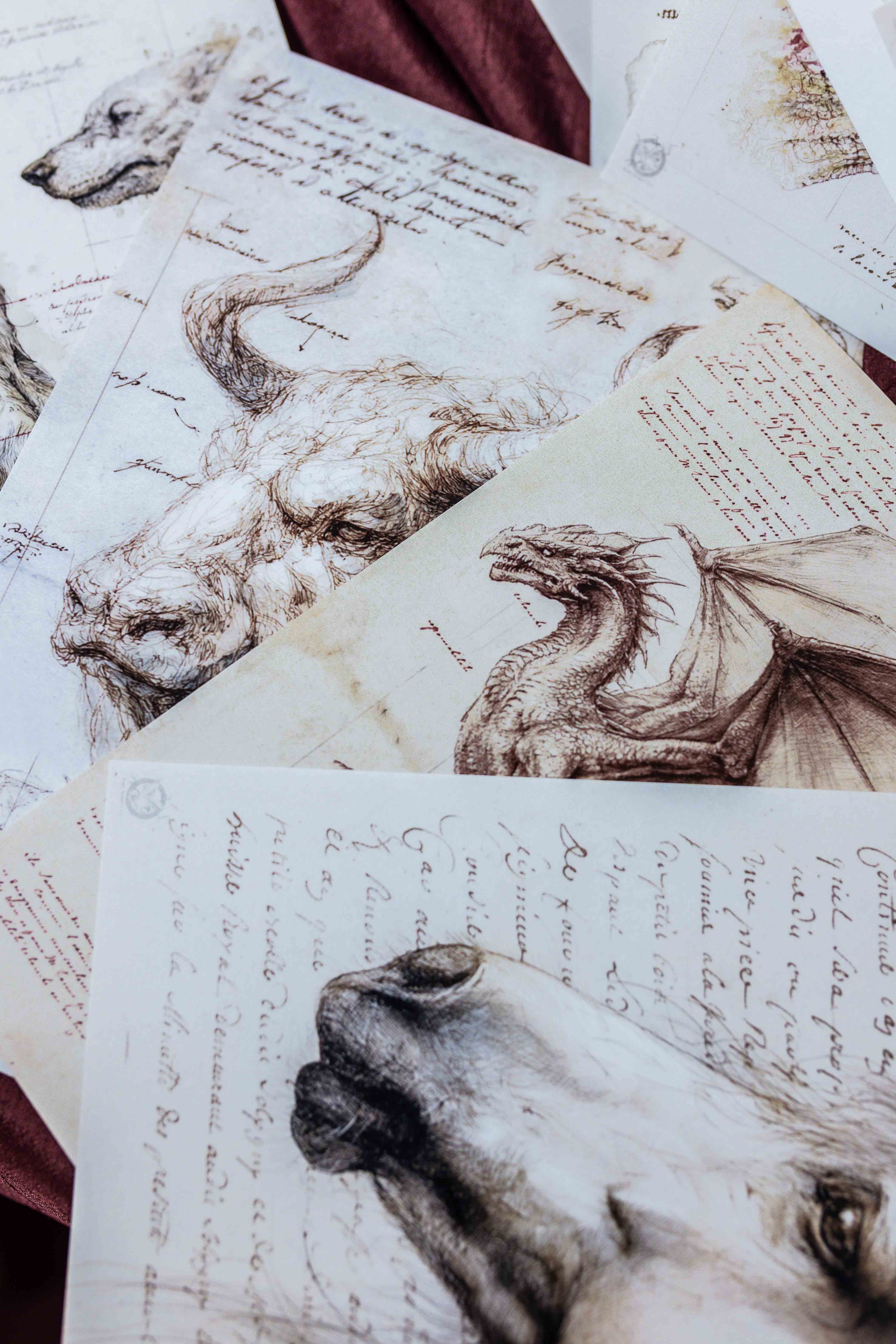 Fantastic Beasts Ephemera Pack