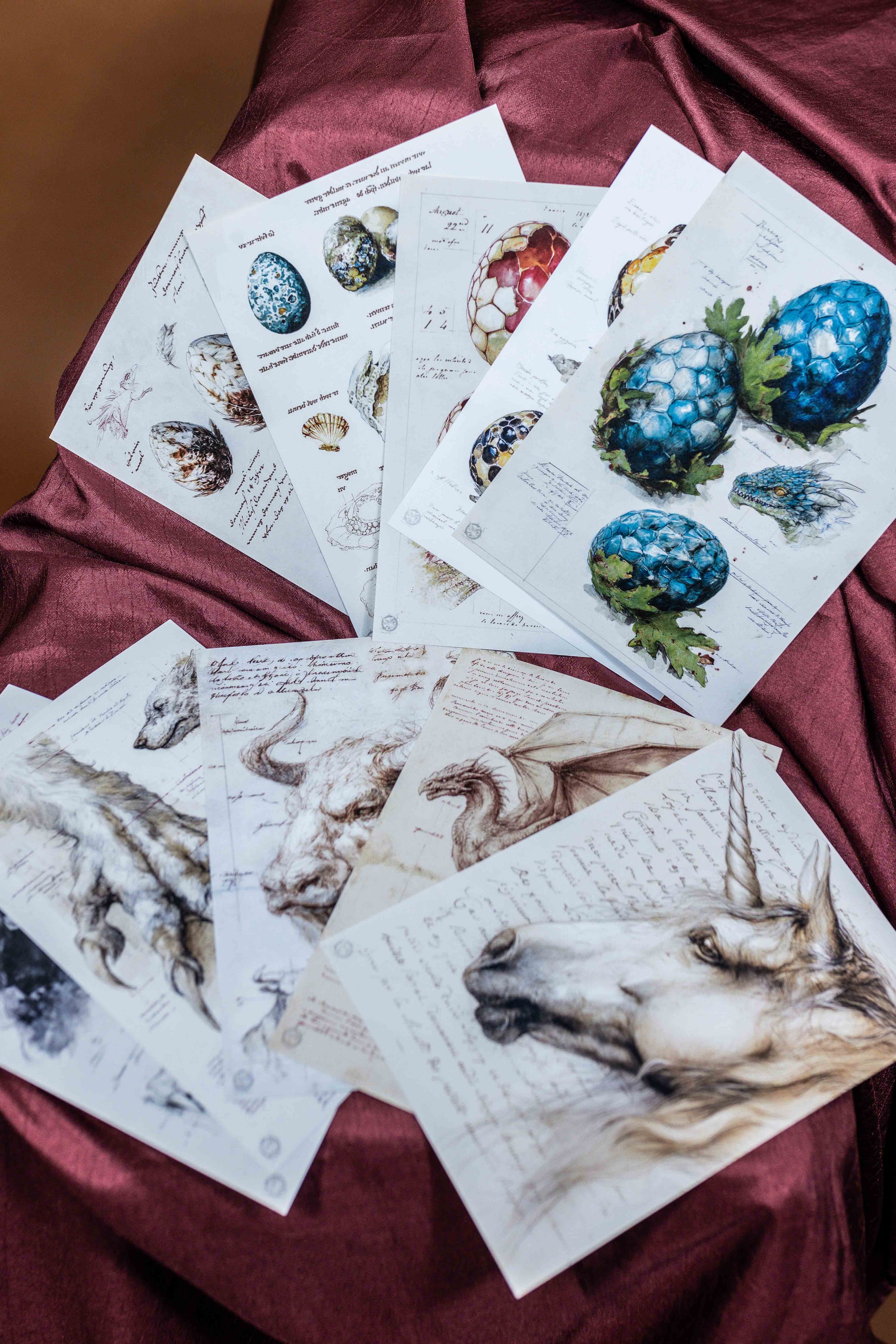 Fantastic Beasts Ephemera Pack