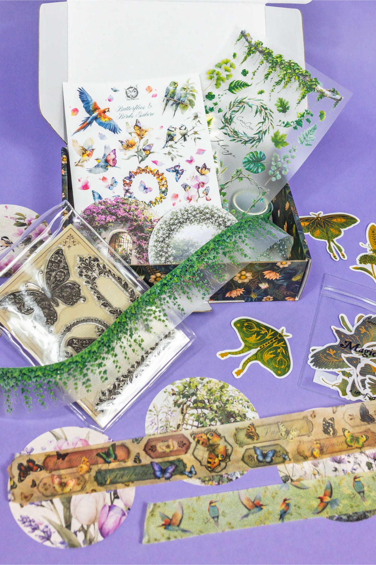 Birds, Foliage & Butterflies Box
