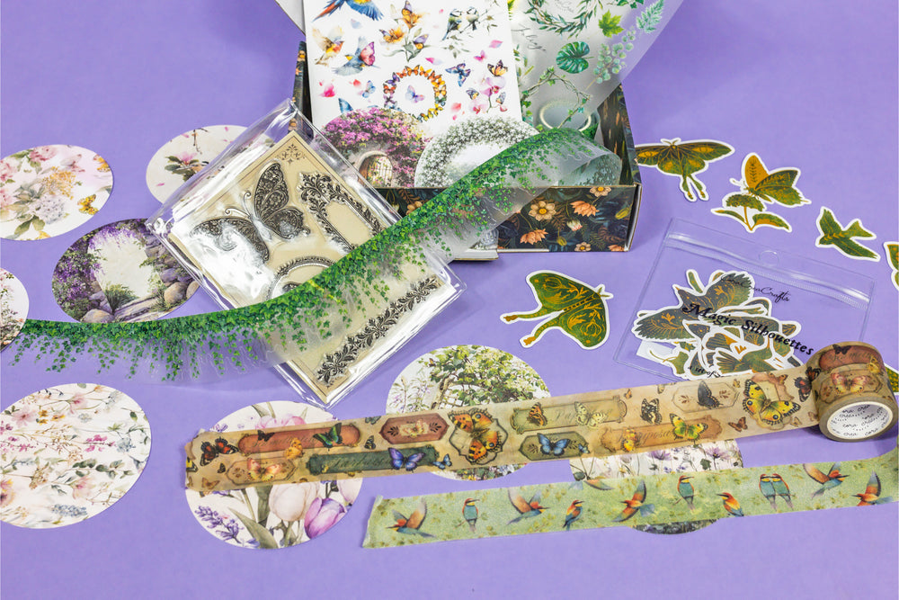 Birds, Foliage & Butterflies Box