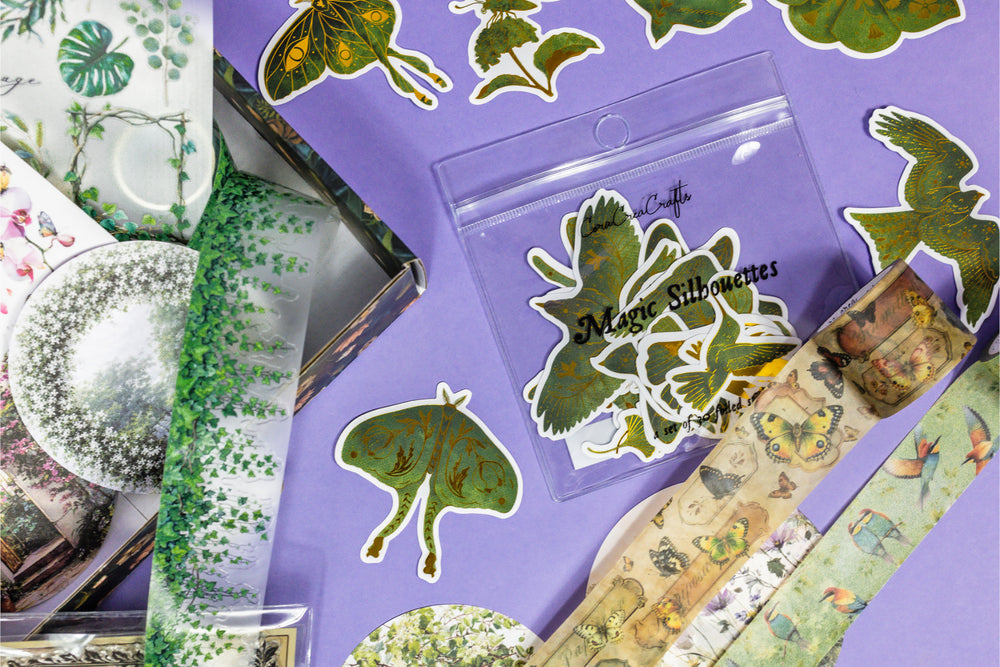 Birds, Foliage & Butterflies Box