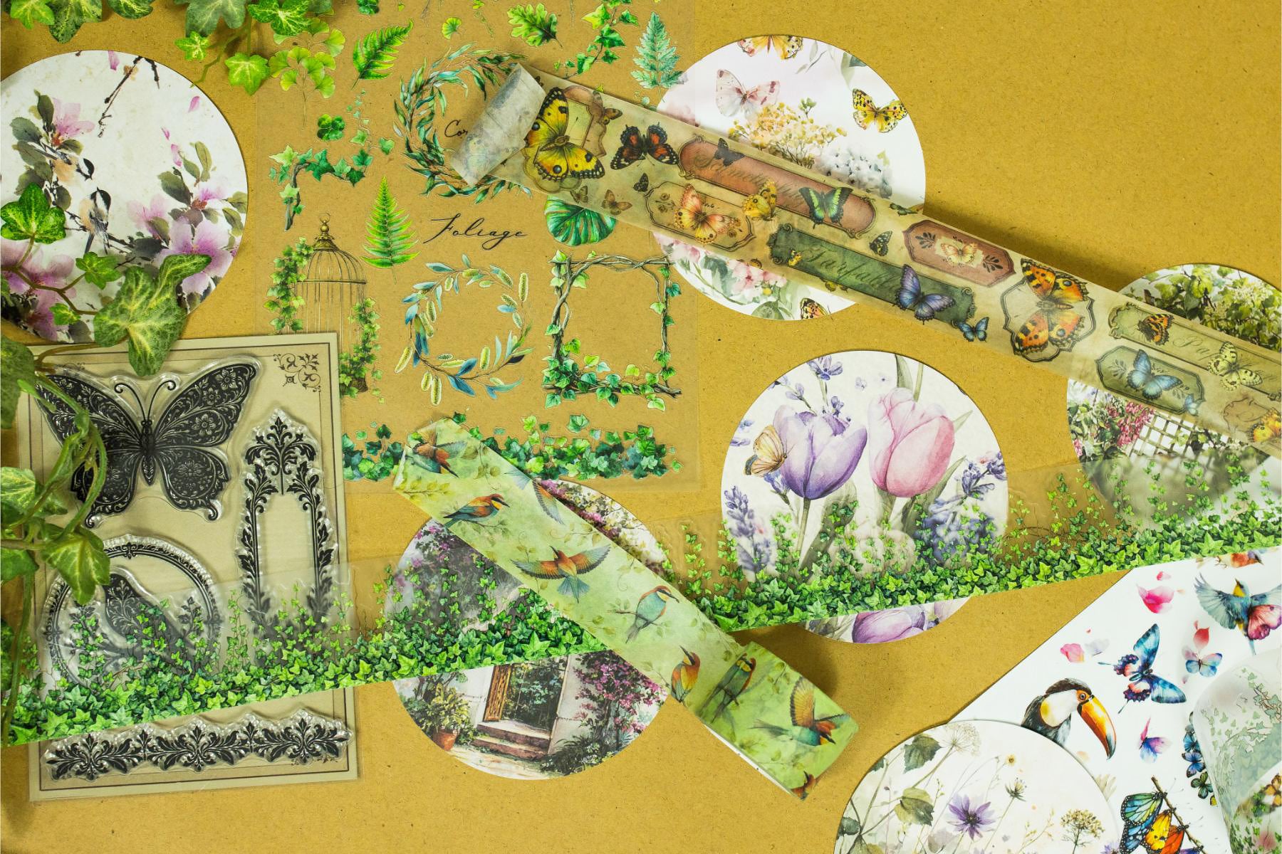 Birds, Foliage & Butterflies Box