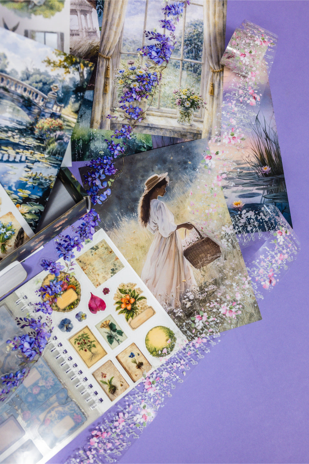 Curiosities Box - Bimonthly Subscription