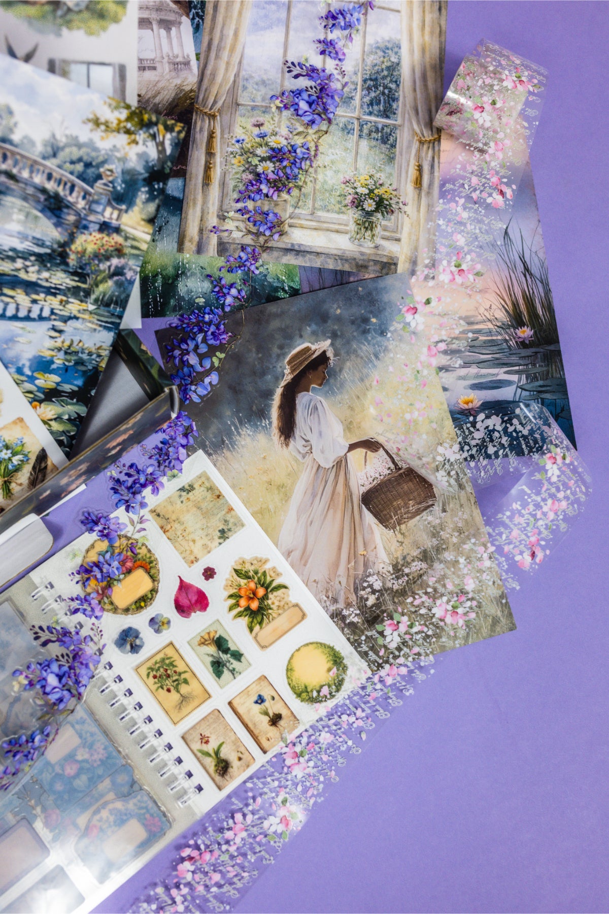 Curiosities Box - Bimonthly Subscription