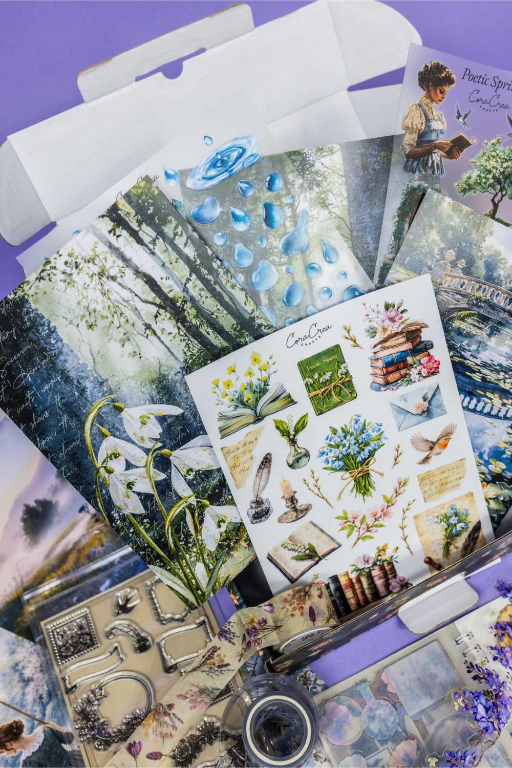Curiosities Box - Bimonthly Subscription