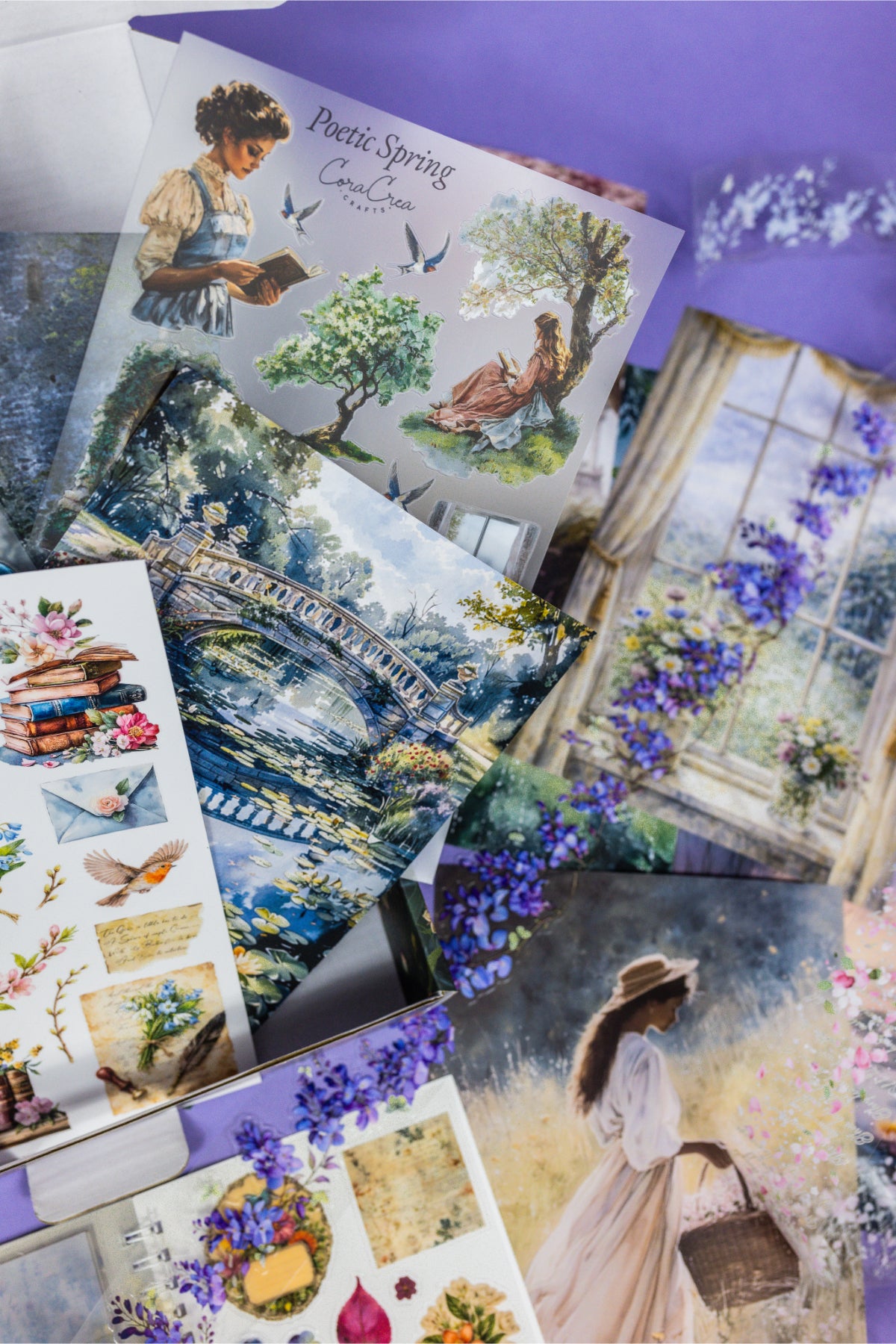 Curiosities Box - Bimonthly Subscription