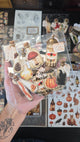 Nature Specimen Bottles Sticker Pack