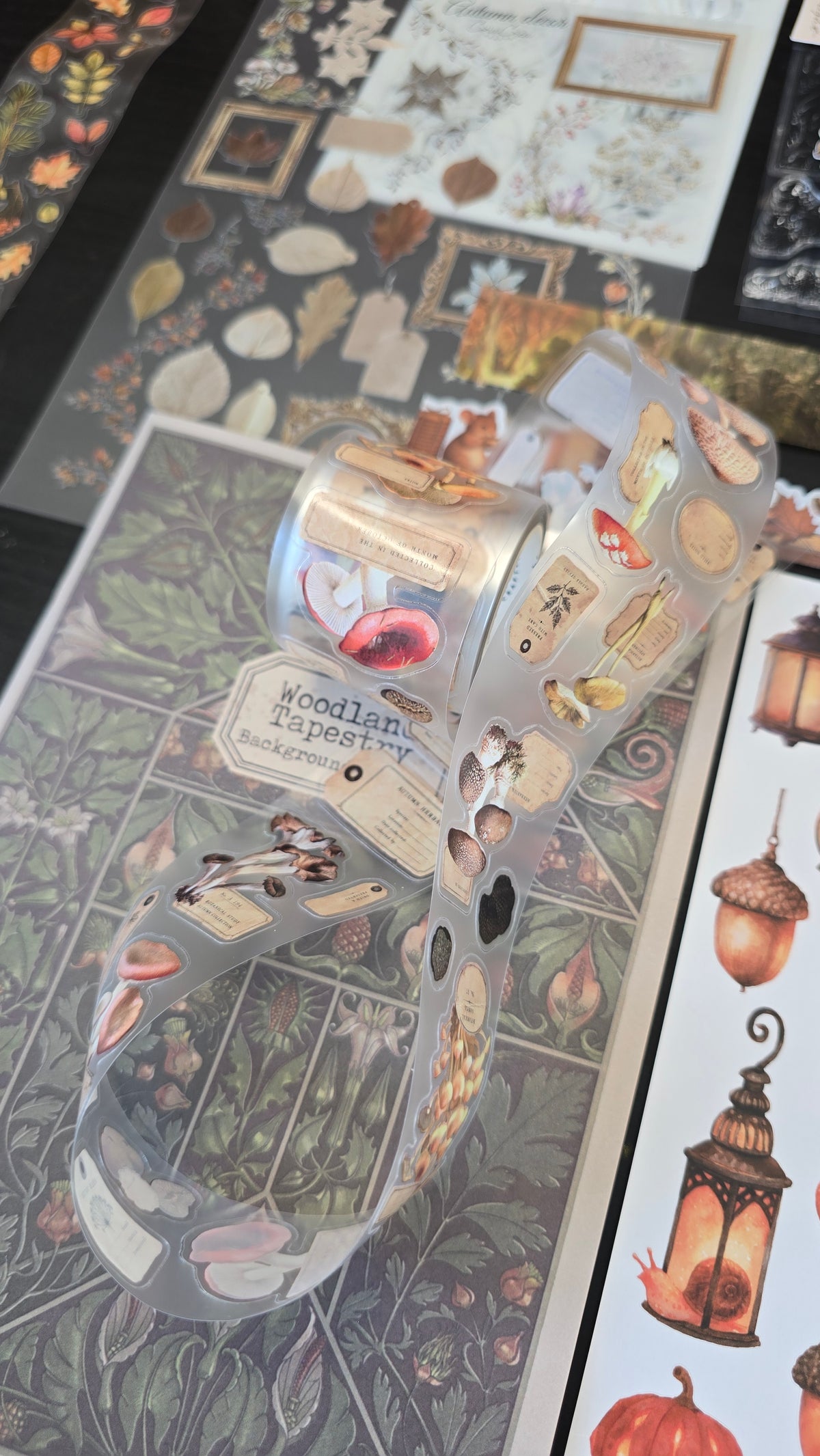 Mushroom Specimen Transparent Tape