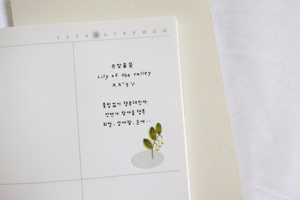 Daily Deco Dreamy Blossoms