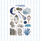 Dream-Core Aesthetic • Trinkets & Tidbits Sticker Sheet