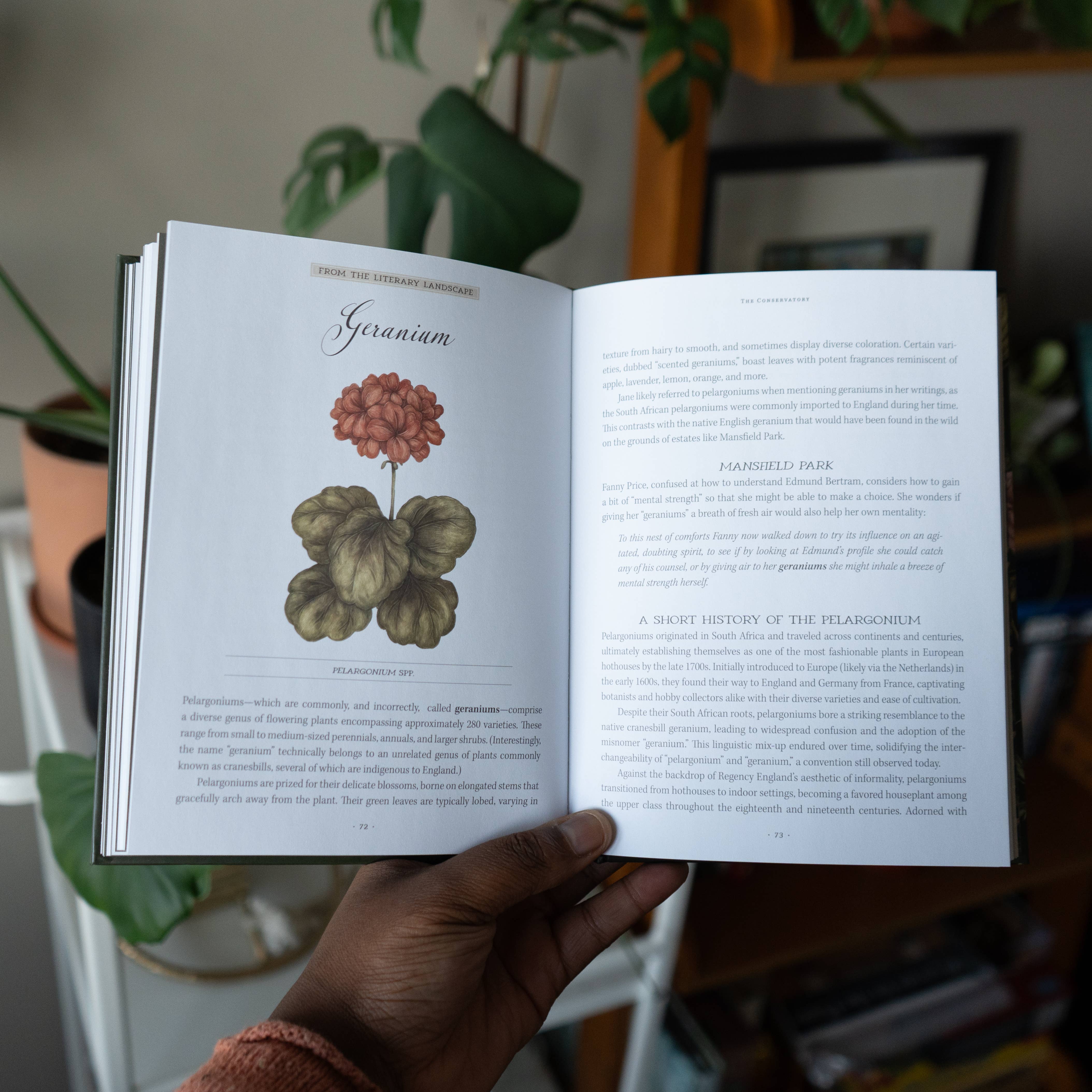 Jane Austen's Garden by Molly  Williams