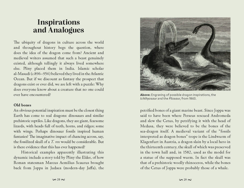 Pocket Book of Dragons
