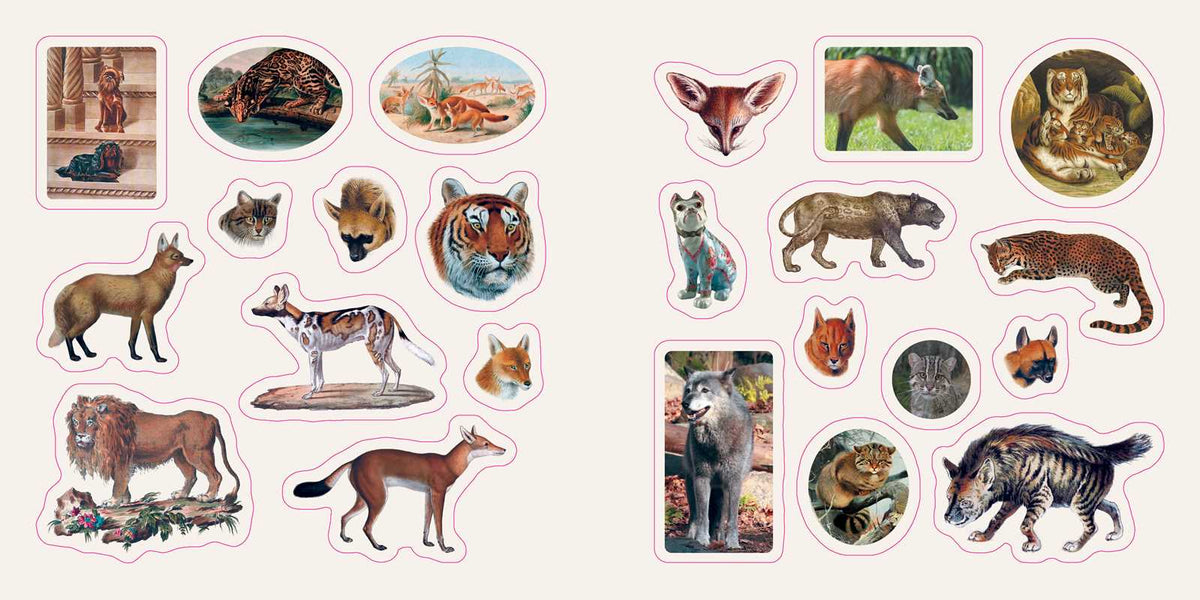 Fantastic Creatures: A Smithsonian Sticker Book by The Smithsonian Institution