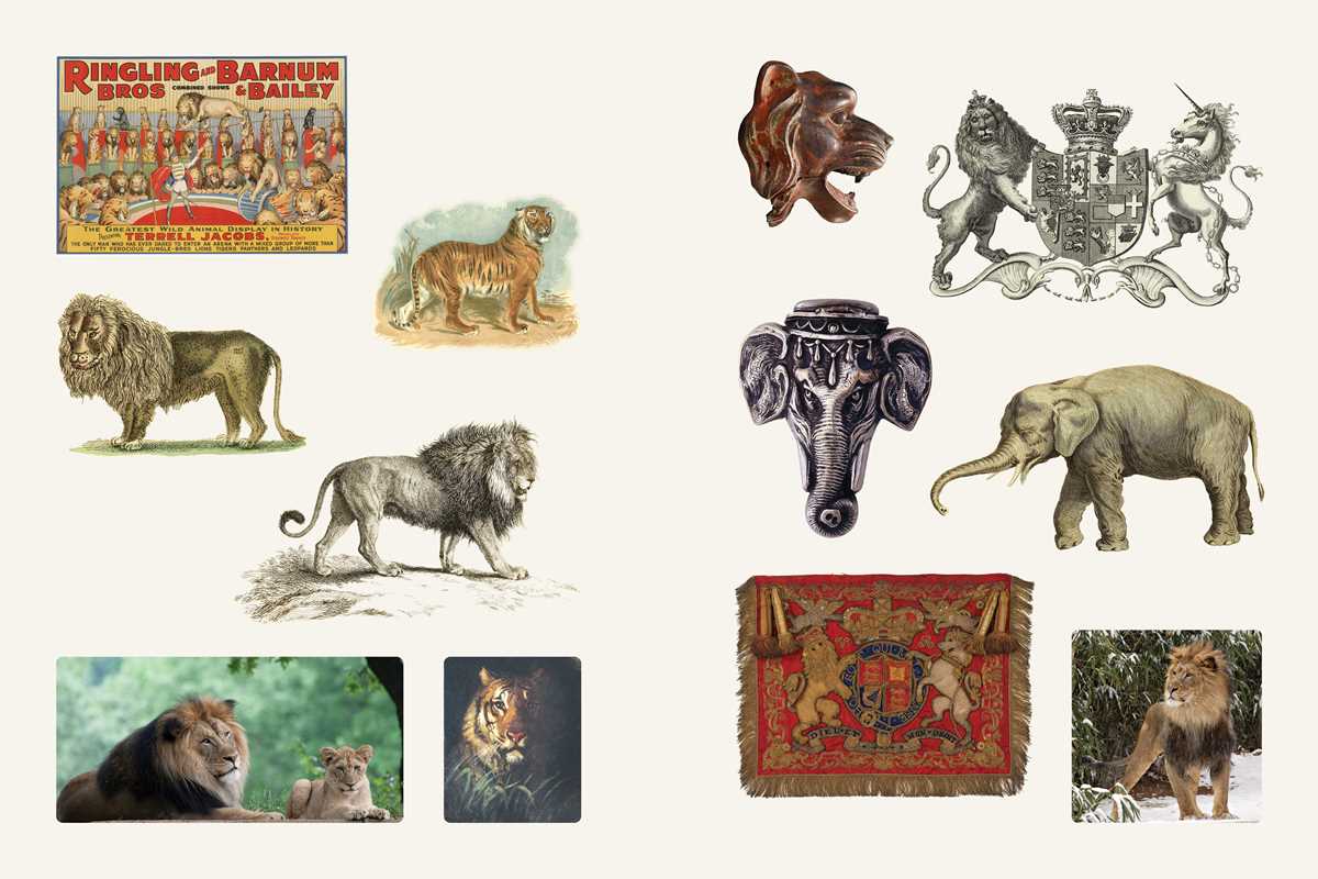Cabinet of Curiosities II by Smithsonian  Institution