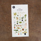 Daily Deco Little plant shop