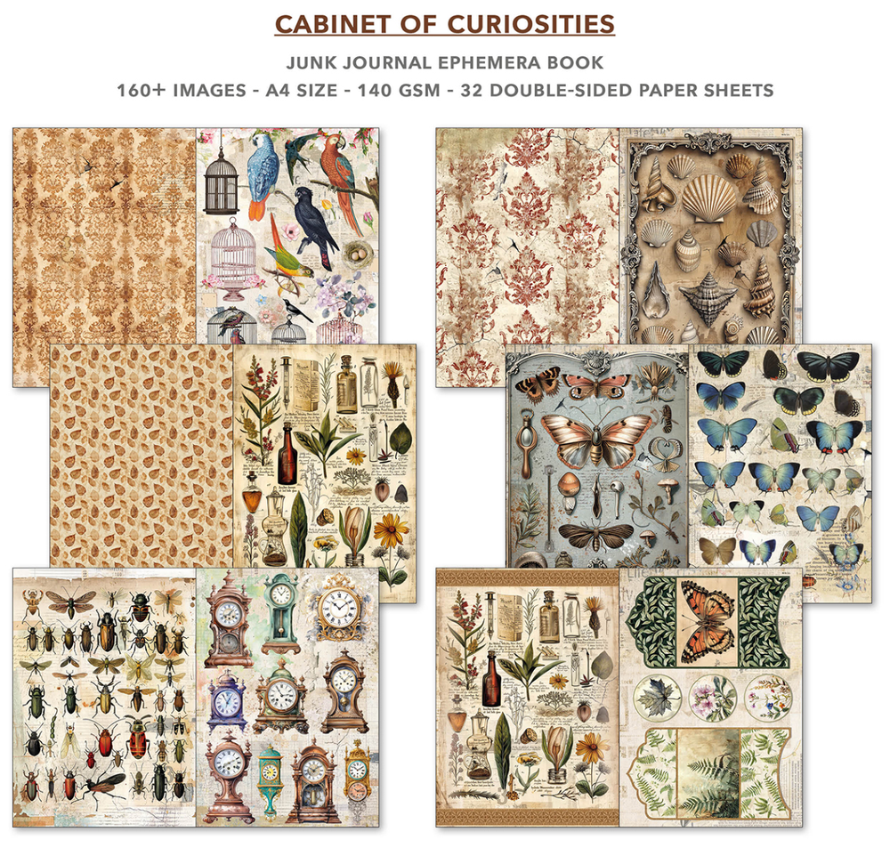 Cabinet of Curiosities Ephemera Book