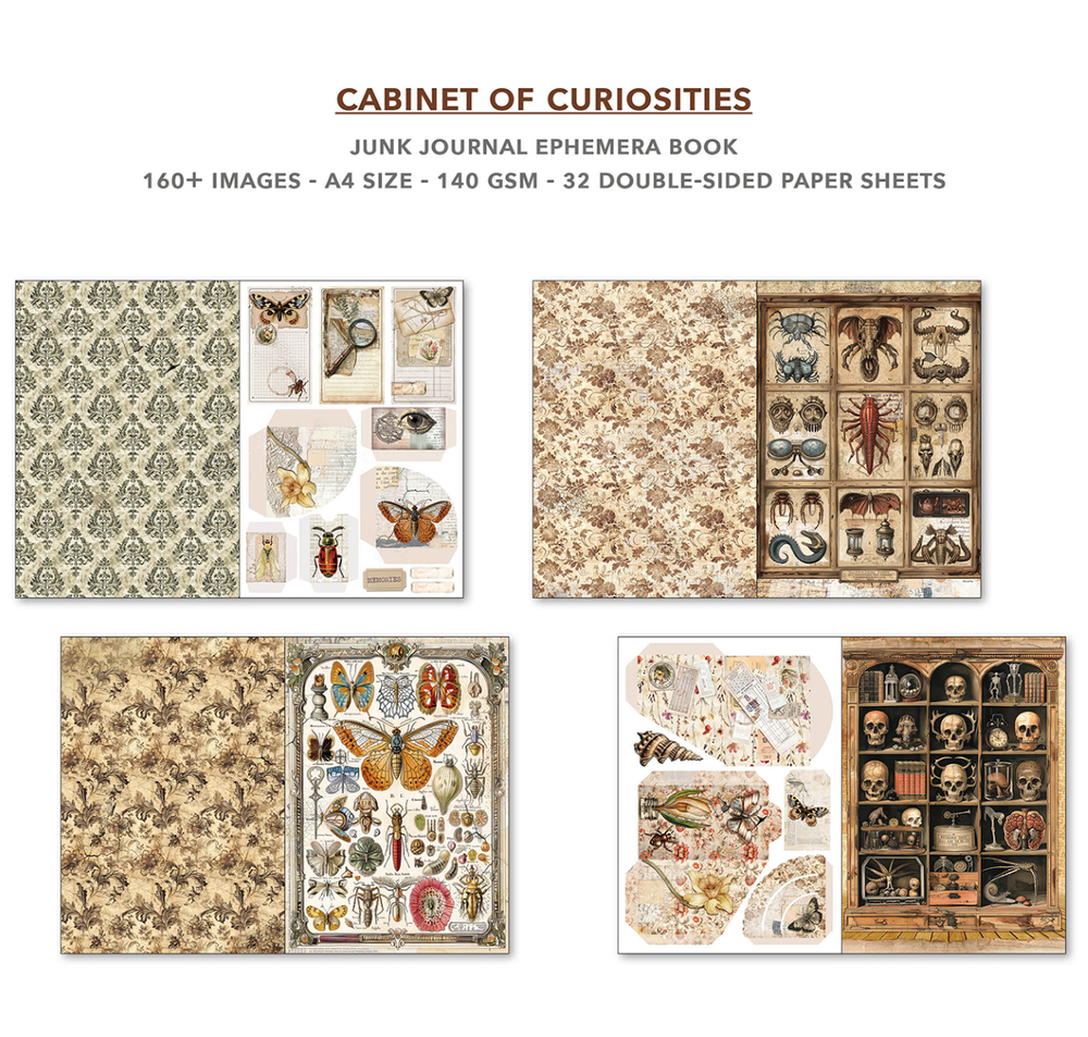 Cabinet of Curiosities Ephemera Book
