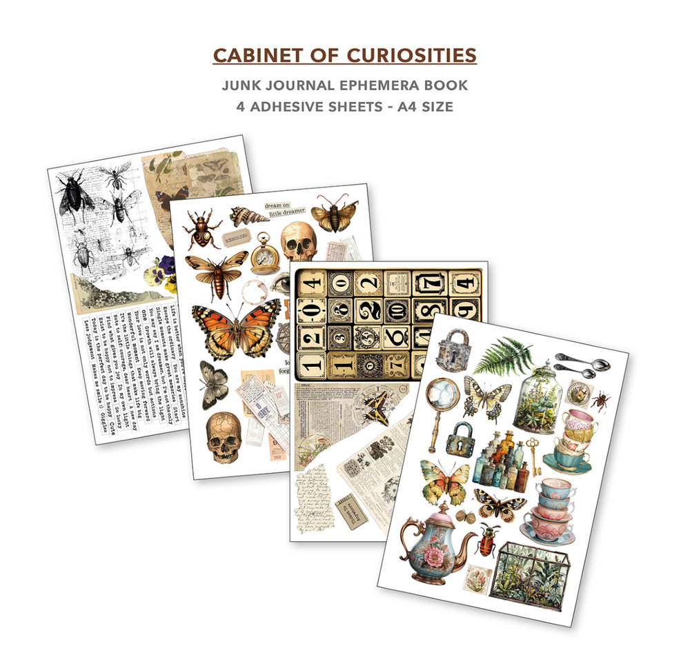 Cabinet of Curiosities Ephemera Book