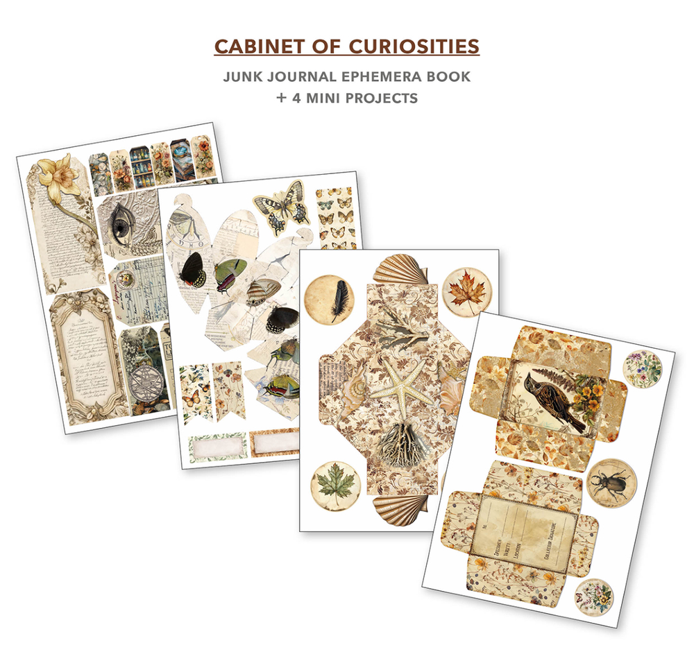 Cabinet of Curiosities Ephemera Book