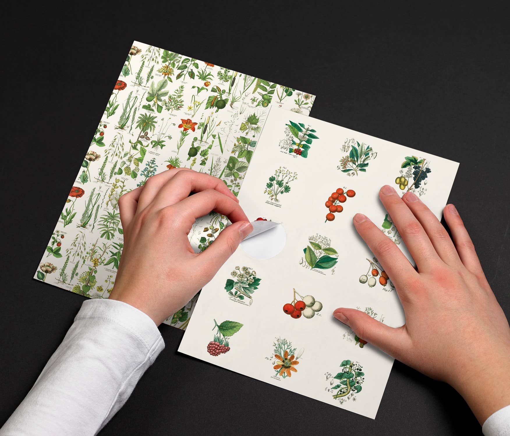 Flora Label Sticker & Tape Book
