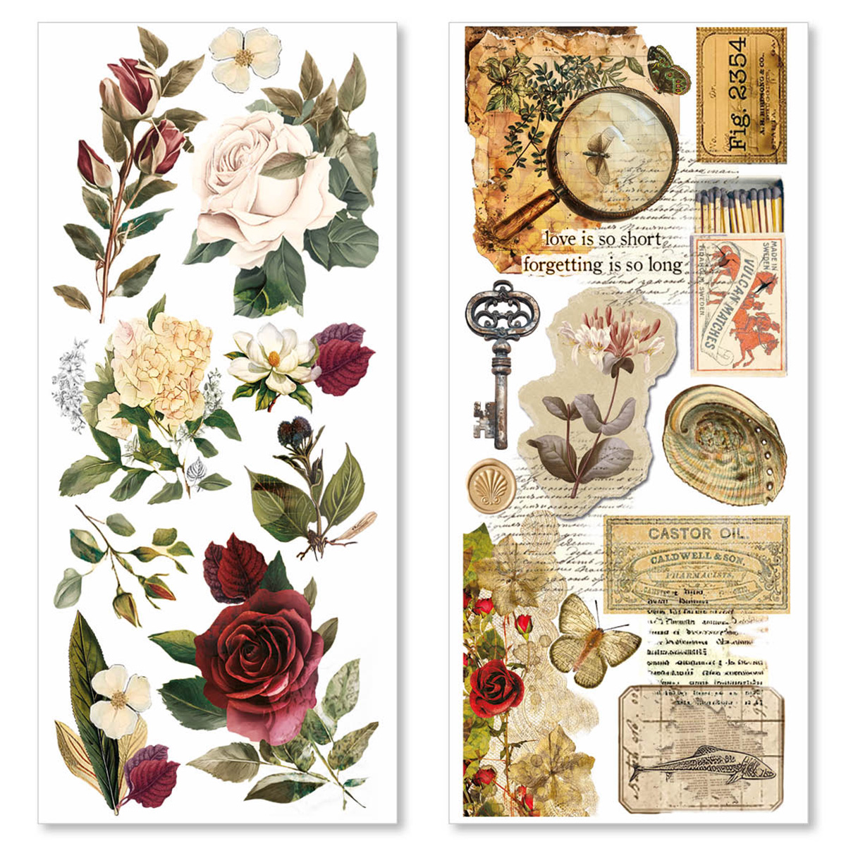 Cabinet of Curiosities Art Sticker Set