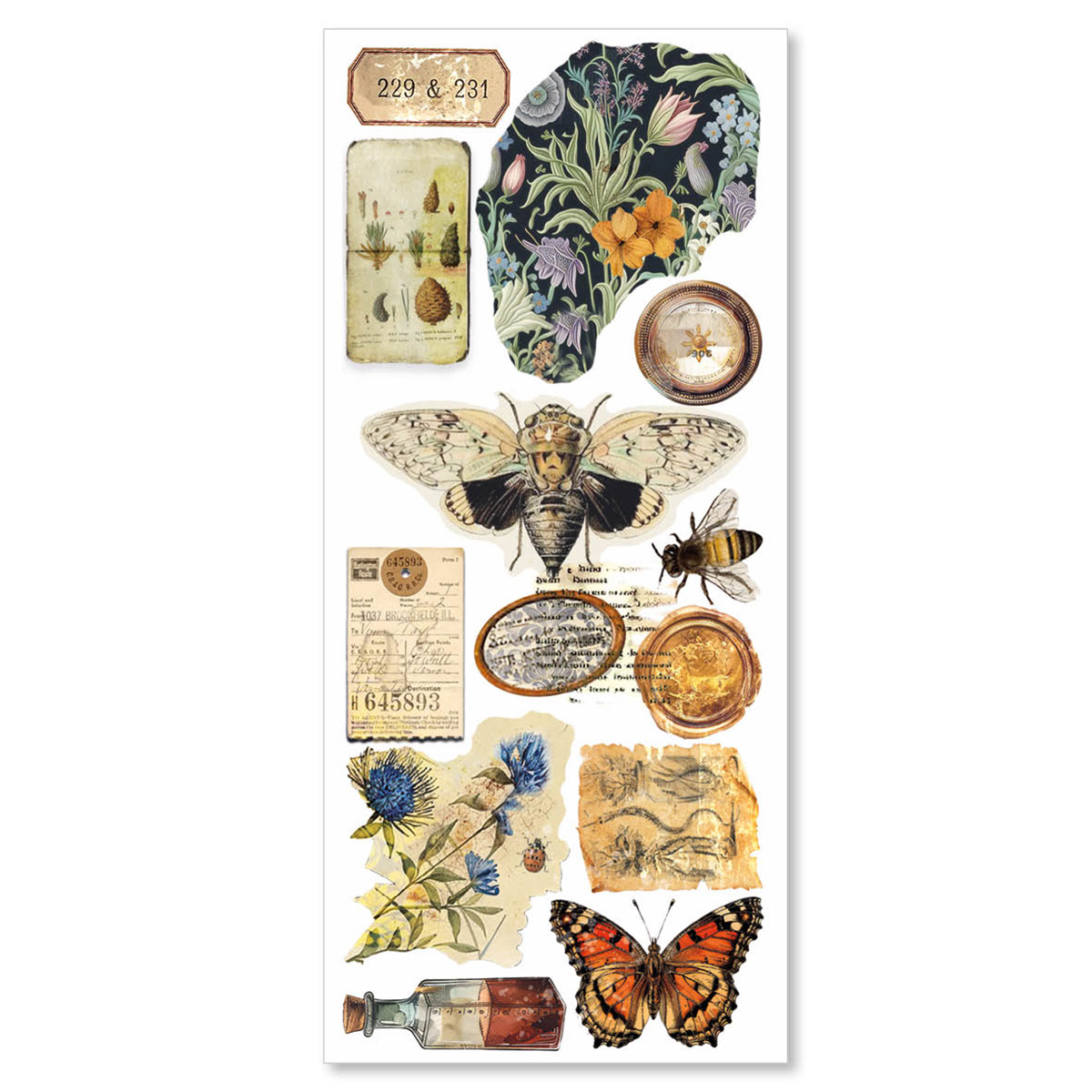 Cabinet of Curiosities Art Sticker Set