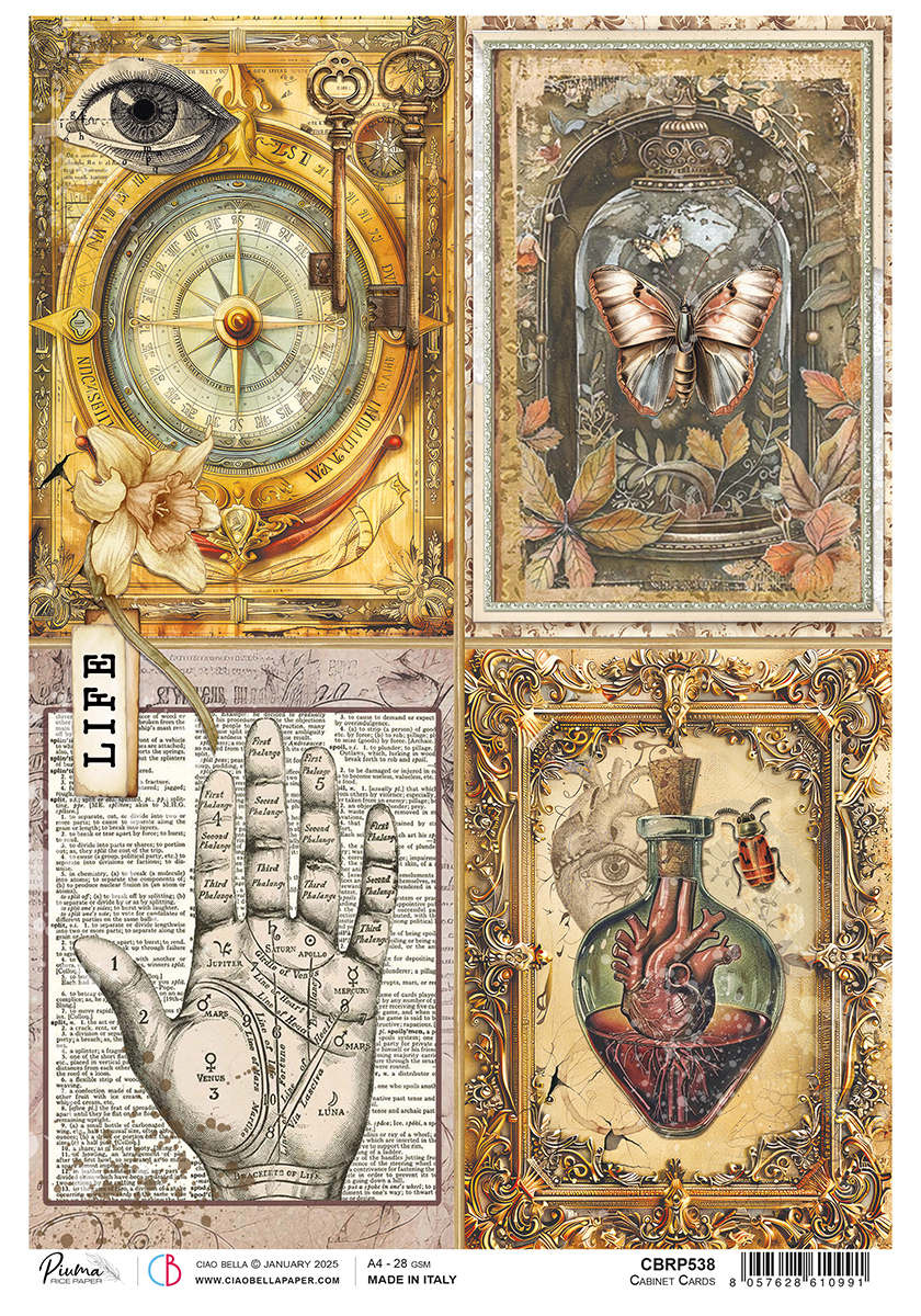 Cabinet Cards Rice Paper