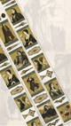 Witches & Vampires Transparent Tape