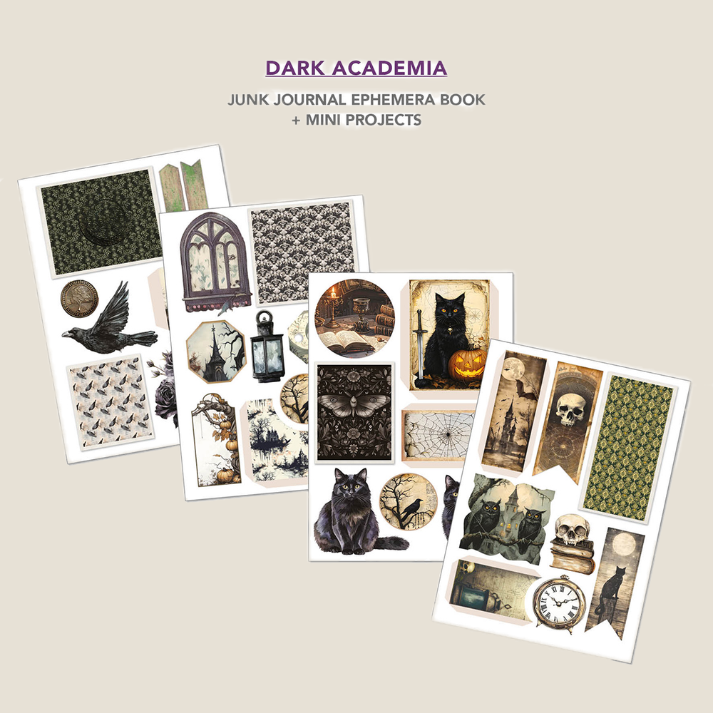 Academia Ephemera Book